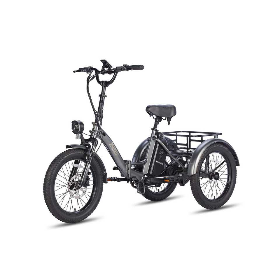 FAFREES F20 Mate 500W Motor Heavy Duty Ebike Electric Cargo Trike 180kg Capacity 110KM Range, Folding Design EU UK