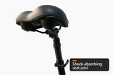 HAOQI Black Leopard Pro Fat Tire Electric Bike (UL Certified)