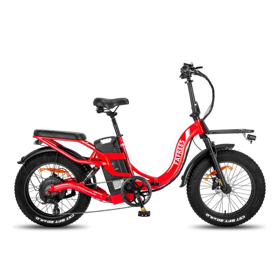 Fafrees X-Max F20 Electric Road/MTB Bike Rear Hub Motor Aluminum Frame Lithium Battery Disc Brake Available 36V 48V-EU Version