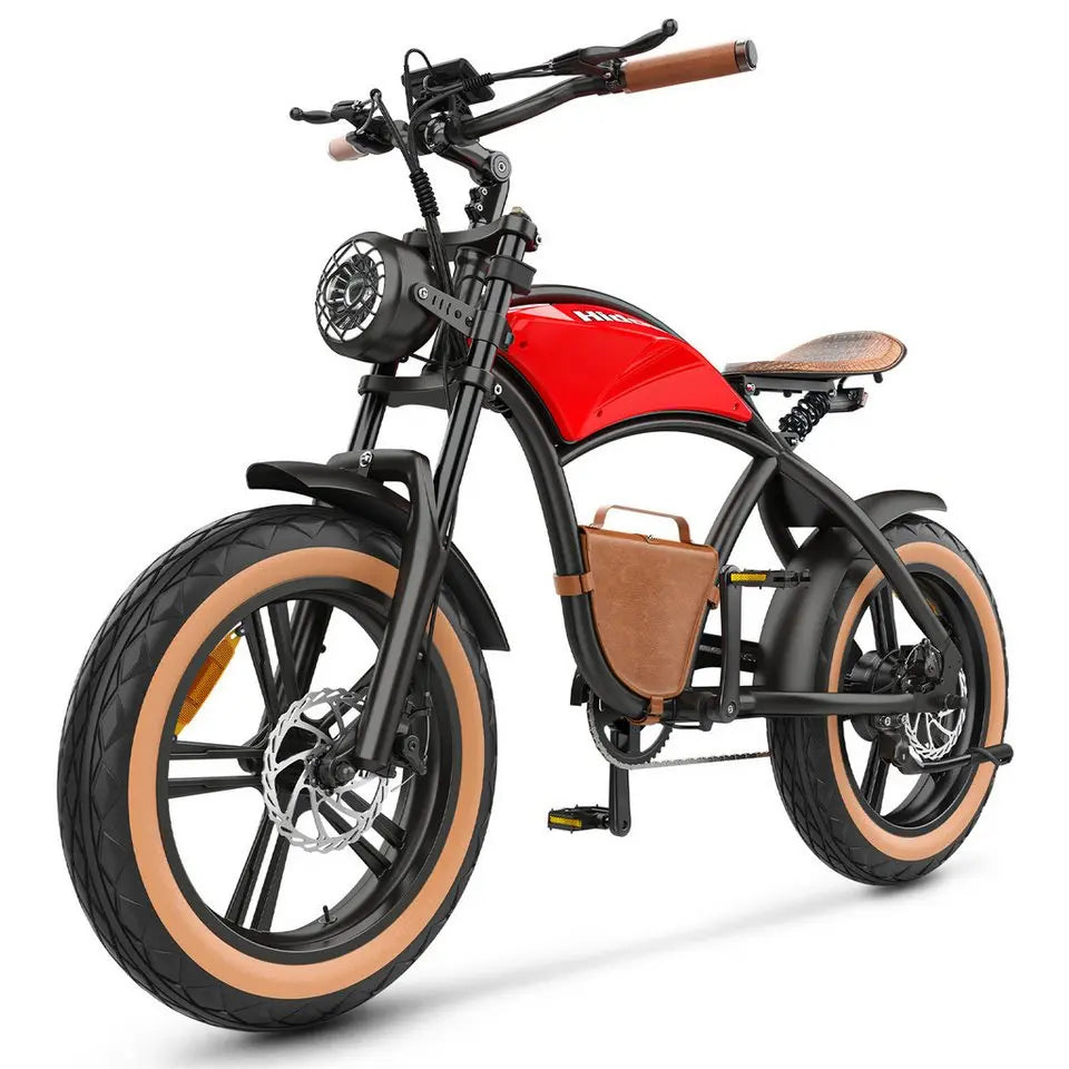 DOTMALL B10 750W 20 Inch Fat Electric Mountain Bike 48V 13Ah Battery 20 Zoll Hideoes E-Bike