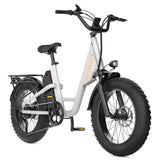 L1 Adult MTB Electric Bicycle with 1000W Rear Hub Motor 48V15.6AH Lithium Battery 20*4.0 Fat Tires Road Mountain Riding Options