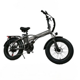 BAOLUJIE DZ2002 20 Vélo électrique de ville pliant 500W Moteur 48V 13Ah Batterie