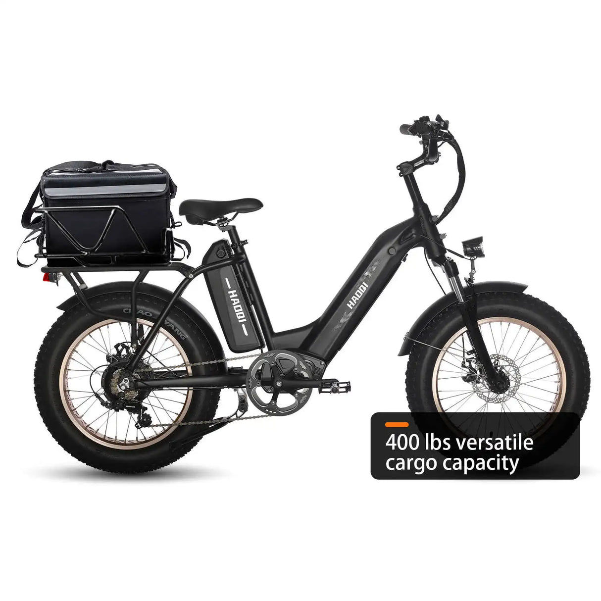 HAOQI Antelope Pro 750W Cargo Electric Bike (UL Certified)