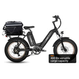 HAOQI Antelope Pro 750W Cargo Electric Bike (UL Certified)