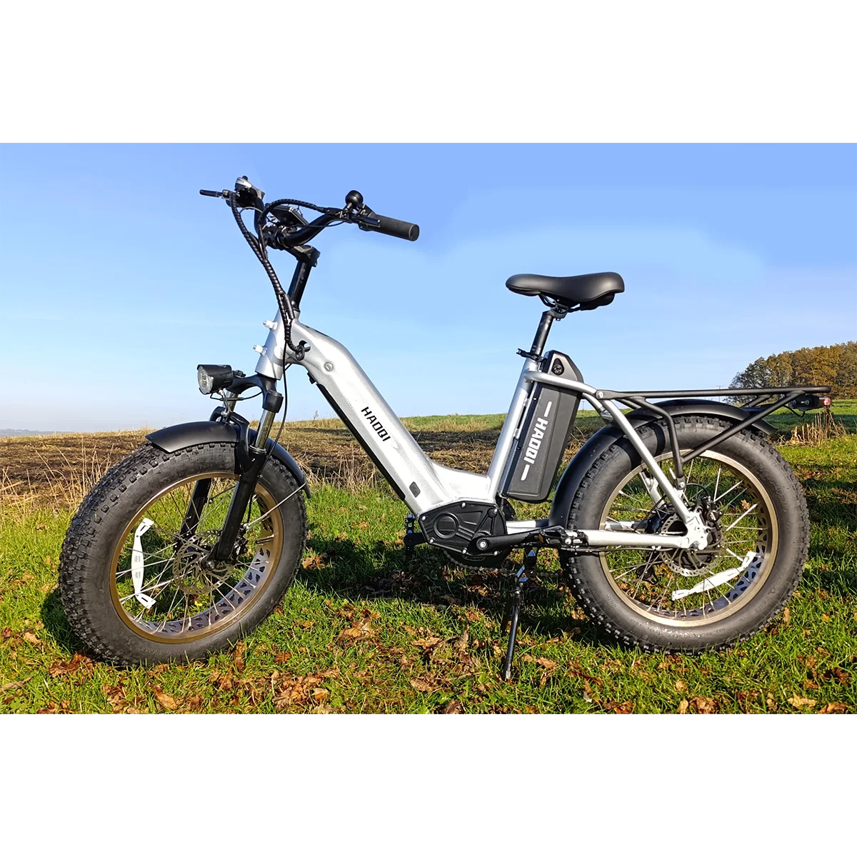 HAOQI Antelope Pro 750W Cargo Electric Bike (UL Certified)