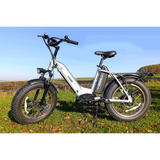HAOQI Antelope Pro 750W Cargo Electric Bike (UL Certified)