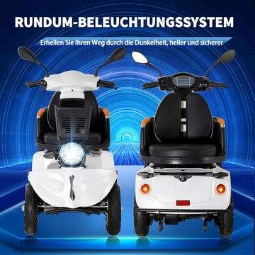 Elektromobil ZVGREEN-DJ(x)-1000-S25 Handicapped Scooter with 3-Gang 1000 W Motor High Mobility Roller