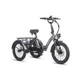 FAFREES F20 Mate 500W Motor Heavy Duty Ebike Electric Cargo Trike 180kg Capacity 110KM Range, Folding Design EU UK
