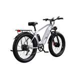 DUOTTS F26 Electric Bike