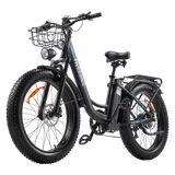 PASEBIKE P26 for MATE Fat Tire Electric Road Bicycle