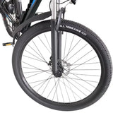 RIDSTAR S29 Pro 29\" Electric Mountain Bike with 1000W Motor and 48V 15.6Ah Battery