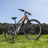 Youin Kilimanjaro Bicicleta Eléctrica Aluminum Frame Electric Bike