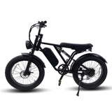 YANGOR Y-24 24inch Fat Tire 48V 500W Electric Bike Fat Tire Motorcycle