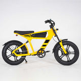 Mangosteen Student Ebike FT03 Best Bicycle College Students Central Rear Hub Motor Integrated Battery 60 km Range Electronic