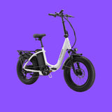 L10 Fat Tire Electric Bike