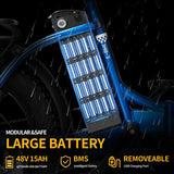 RIDSTAR MN20 Foldable 1000W Electric Bike 48V 15AH Lithium Battery Brushless 20 Inch Magnesium Wheel for Adults Off-Road