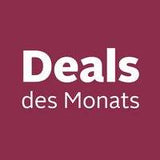 Elektromobil ZVGREEN-DJ(x)-1000-S25 Handicapped Scooter with 3-Gang 1000 W Motor High Mobility Roller