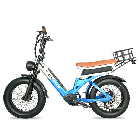 BAOLUJIE DP2033 Electric Mountain Bike 48V 30AH Battery 1000W Motor 20inch Tires 90-100KM Max Mileage 120KG Max Load