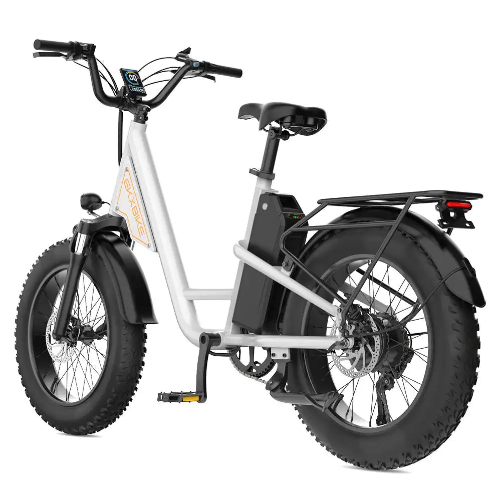 L1 Adult MTB Electric Bicycle with 1000W Rear Hub Motor 48V15.6AH Lithium Battery 20*4.0 Fat Tires Road Mountain Riding Options
