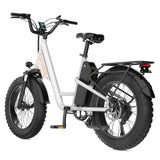 L1 Adult MTB Electric Bicycle with 1000W Rear Hub Motor 48V15.6AH Lithium Battery 20*4.0 Fat Tires Road Mountain Riding Options