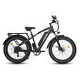 HAOQI for UL Certified Black Leopard Pro Fat Tire Electric Bike