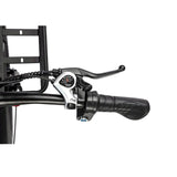 RIDSTAR MN26 26\" City Electric Bike 750W Motor 48V 20Ah Lithium Battery Aluminum Alloy Frame 7 Speeds Digital Rear Carrier