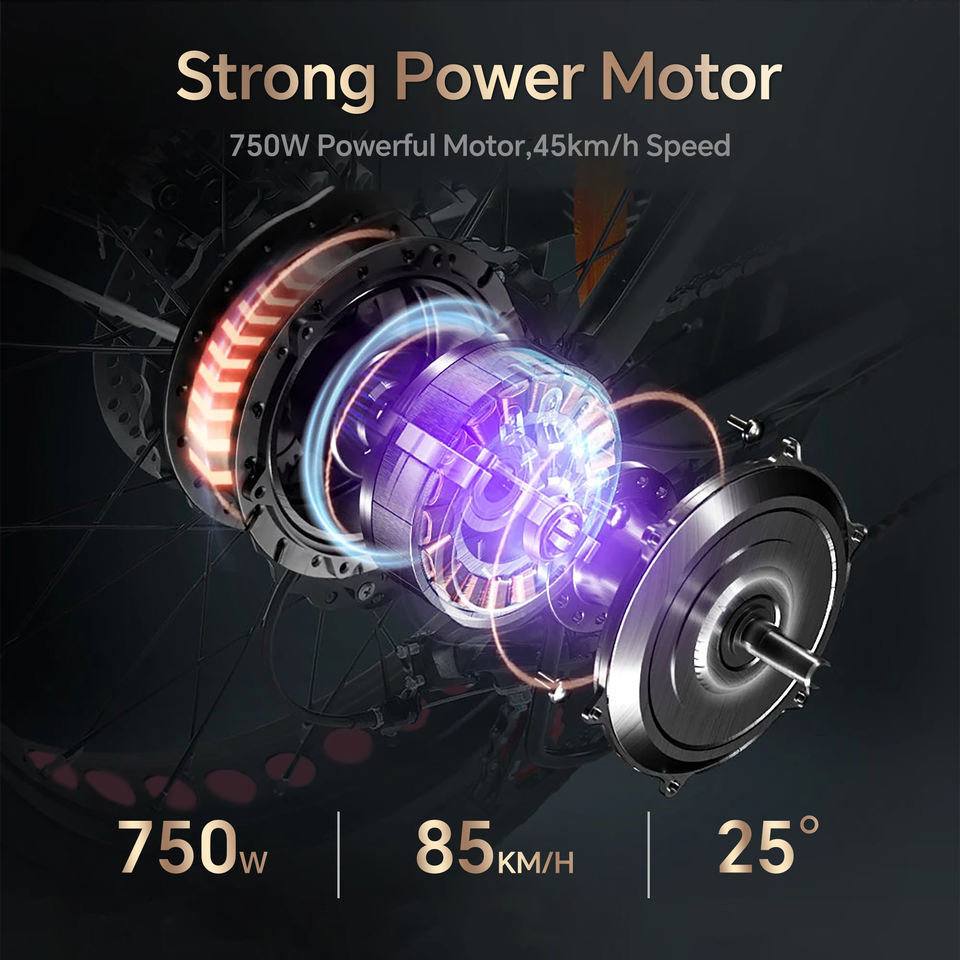 DrVetion CT20 Electric Folding Bike 10AH/15AH/20AH 48V 750W up to 45km/h Speed