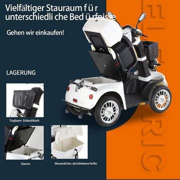 Elektromobil ZVGREEN-DJ(x)-1000-S25 Handicapped Scooter with 3-Gang 1000 W Motor High Mobility Roller