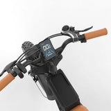 DOTMALL 350W 48V 18Ah Electric Mountain Bike YAMALI 20 Zoll E-Bike High Performance Electrfahrrad