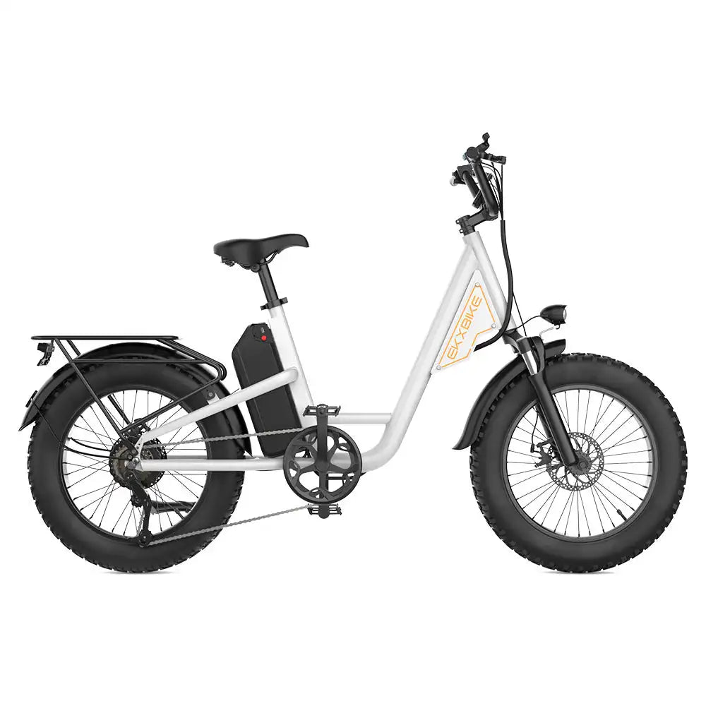 L1 Adult MTB Electric Bicycle with 1000W Rear Hub Motor 48V15.6AH Lithium Battery 20*4.0 Fat Tires Road Mountain Riding Options