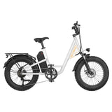 L1 Adult MTB Electric Bicycle with 1000W Rear Hub Motor 48V15.6AH Lithium Battery 20*4.0 Fat Tires Road Mountain Riding Options