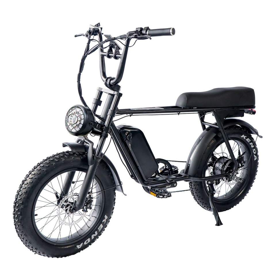 Voll federung Elektrisches Mountainbike 48V 250W 20 Fat Ebike B66