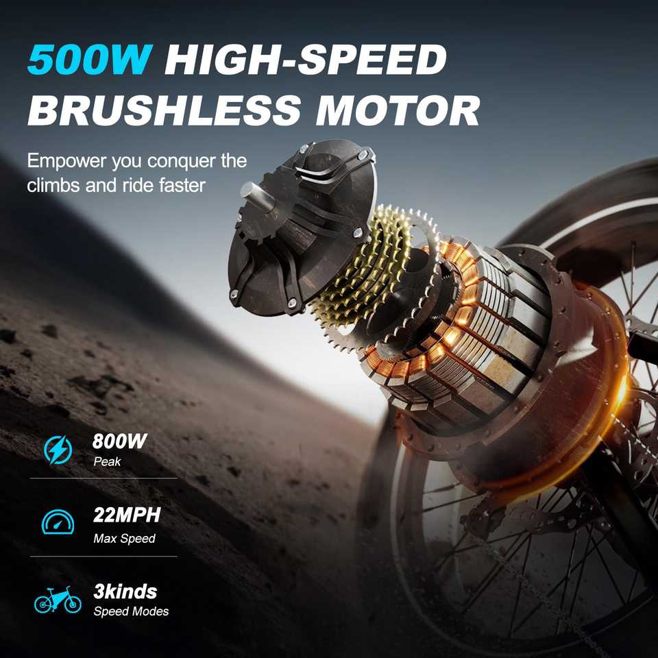 AVDL BIKE A13 Adult Electric Mountain Bike with Removable 800W for Motor 16-inch Thick Tire Wide Seat Front Fork