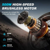 AVDL BIKE A13 Adult Electric Mountain Bike with Removable 800W for Motor 16-inch Thick Tire Wide Seat Front Fork