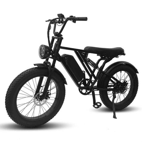 YANGOR Y-24 24inch Fat Tire 48V 500W Electric Bike Fat Tire Motorcycle