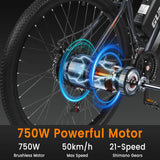 GUNAI GN29 750W 29Inch Electric Mountain Bike