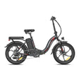 Fafrees F20+ EU Electric Bike with 250W Motor Power 15Ah Lithium Battery 7 Speed Rear Hub Motor