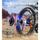 DOTMALL VARUN S26-1 Adult Electric Mountain Bike 250W Motor 48V 16Ah Battery 7-Gang for MTB Adventures