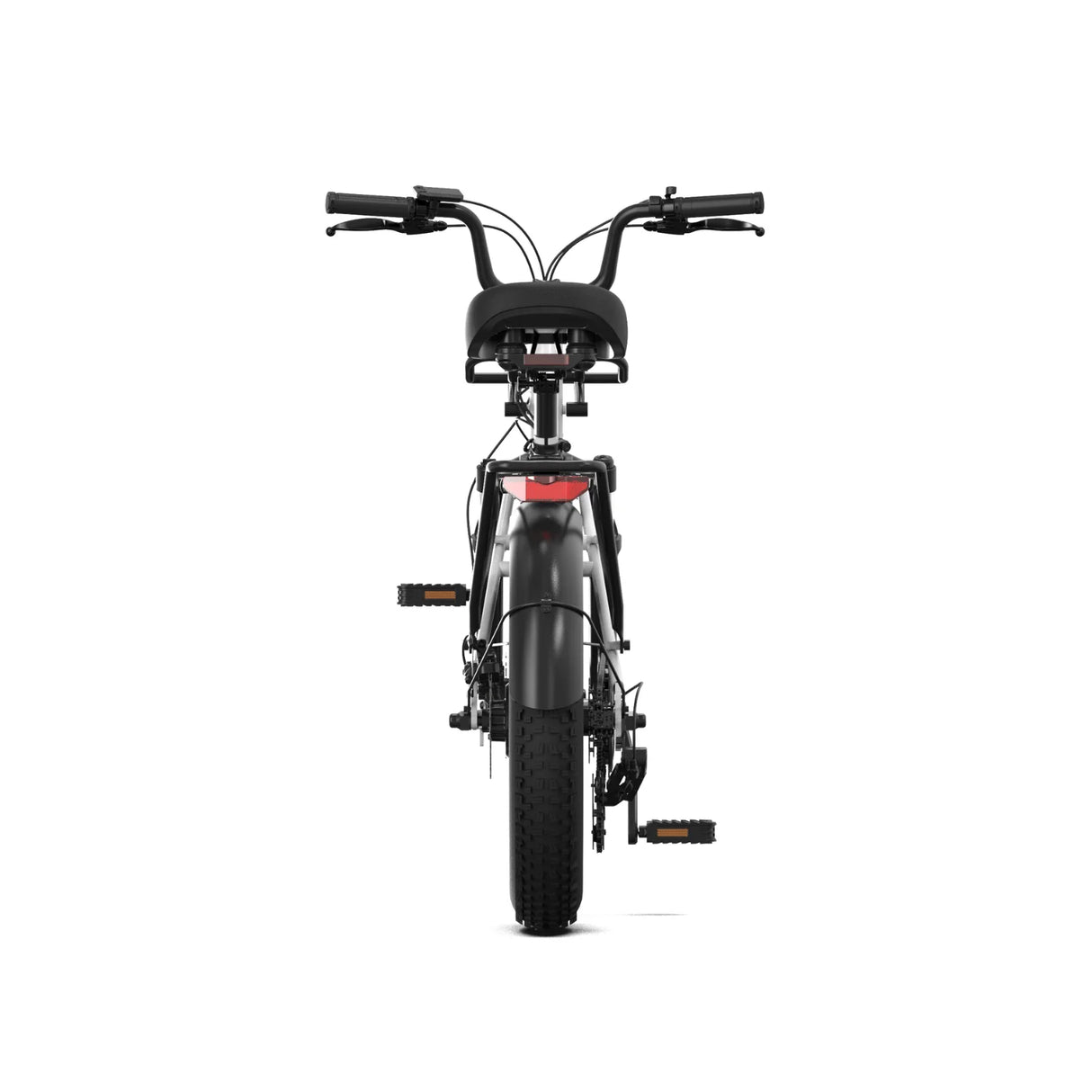 Pre Order - PVY LS20