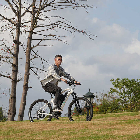 L5 Electric Mountain Bike