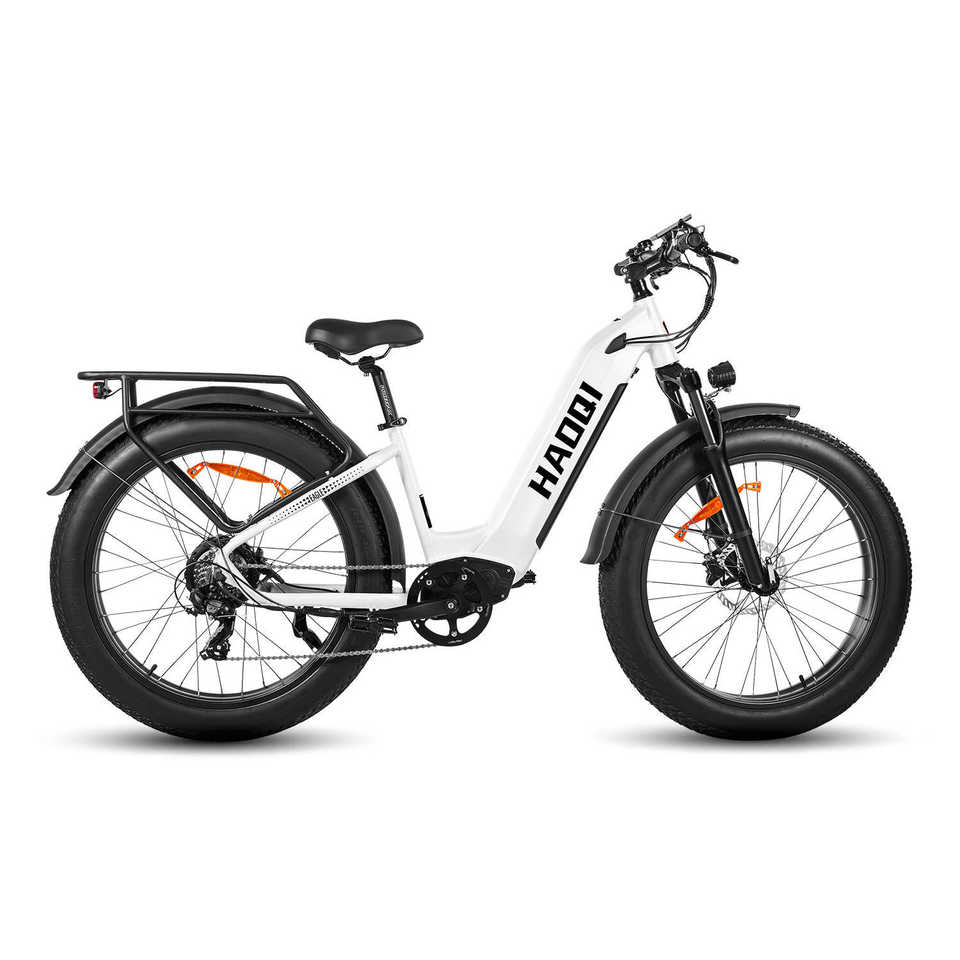 HAOQl All-Terrain 2.0 Electric Mountain Bike 250w Rear Hub Motor 48v Carbon Aluminum Frame 60km Range per Power Step Thru Eagle