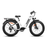 HAOQl All-Terrain 2.0 Electric Mountain Bike 250w Rear Hub Motor 48v Carbon Aluminum Frame 60km Range per Power Step Thru Eagle