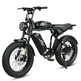 M20-II 20-Inch Electric Mountain Bike MTB with 48V/36Ah Dual Battery 1000W Motor