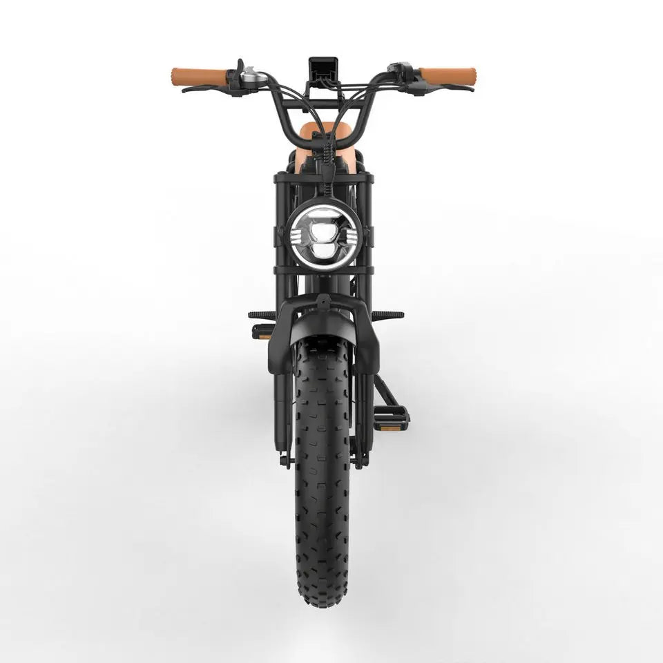 DOTMALL 350W 48V 18Ah Electric Mountain Bike YAMALI 20 Zoll E-Bike High Performance Electrfahrrad