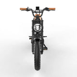 DOTMALL 350W 48V 18Ah Electric Mountain Bike YAMALI 20 Zoll E-Bike High Performance Electrfahrrad