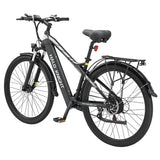 Halo Knight H02 Electric Bike, 750W Brushless Motor, 48V 16Ah Battery, 29*2.1-inch Tires - Black