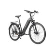 Fafrees FM9 Electric Folding City Bike Rear Hub Motor 250W Power 36V Lithium Battery 60km Range Electronic Features 26 Inch EU