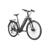Fafrees FM9 Electric Folding City Bike Rear Hub Motor 250W Power 36V Lithium Battery 60km Range Electronic Features 26 Inch EU