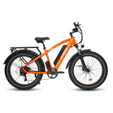HAOQI Black Leopard Pro Fat Tire Electric Bike (UL Certified)