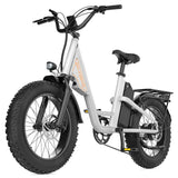 L1 Adult MTB Electric Bicycle with 1000W Rear Hub Motor 48V15.6AH Lithium Battery 20*4.0 Fat Tires Road Mountain Riding Options
